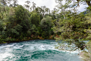 Landscape view of Futaleufu river in the forest