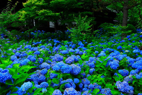 男鹿半島 Images Browse 1 032 Stock Photos Vectors And Video Adobe Stock 男鹿半島 Images Browse 1 032 Stock Photos Vectors And Video Adobe Stock