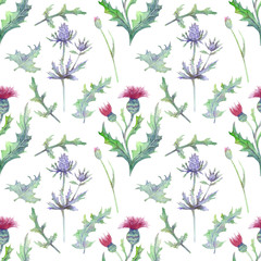 Seamless pattern with spring flowers and leaves. Wildflowers on isolated white background. Floral pattern for Wallpaper or fabric. Watercolor illustration. 