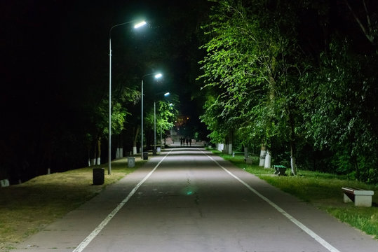 Path through city park at night with street lamps