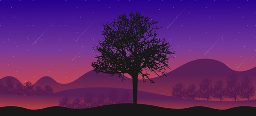 Sunset Tree Background 