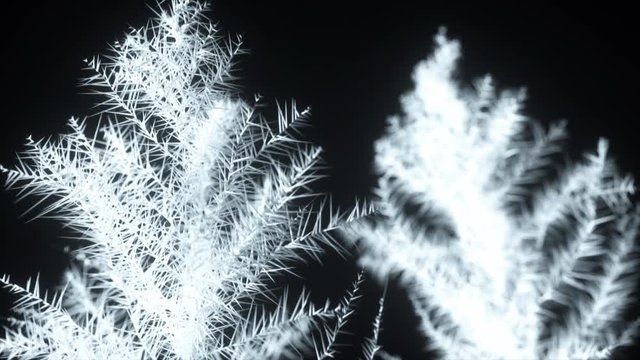 Beautiful 3d render of freezing. Patterns of ice and frost spread in space on an isolated black background.