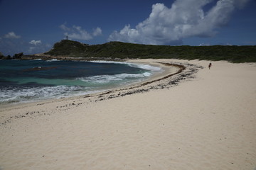 vagues qui éclatent sur les rochers Océan, Plage, mer des Caraibes
