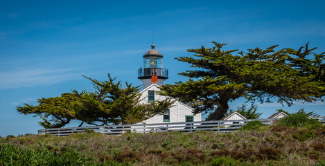 Fototapeta na wymiar Point Pinos Historic Lighthouse along the Monterey Bay in Pacific Grove, California, near Asilomar beach, with Monterey Cypress trees (Cupressus macrocarpa) in the foreground.