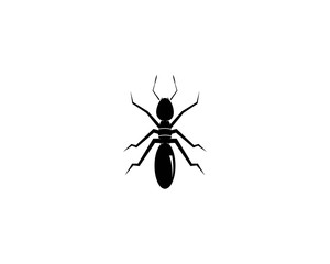 Ant Logo template vector illustration design