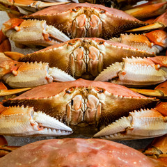 Pacific coast Dungeness crabs are stacked on ice for sale at a fish market