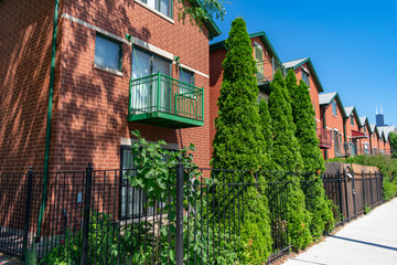 Fototapeta na wymiar Row of Similar Homes with Green Shrubs in Chinatown Chicago