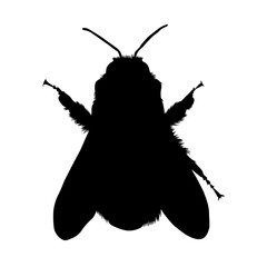 Simple Bumble Bee Silhouette Isolated On White