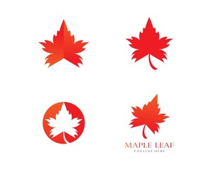 Oak Leaf Logo template vector illustration