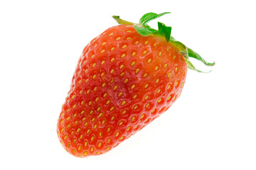 Strawberry close up on a white background without shadows isolated