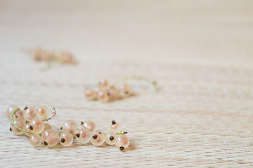 white currant on white background,