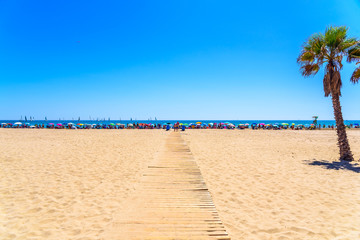 Valencia, Spain - June 23, 2019: Canet beach, full of vacationers with their umbrellas, seen from the shade of some palm trees planted in the wide empty sand.