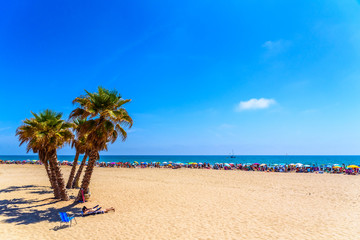 Valencia, Spain - June 23, 2019: Agglomeration of holiday people taking advantage of the sand of a Mediterranean beach to place their umbrellas and enjoy the summer.