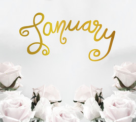 January handwriting lettering gold color on white roses frame background