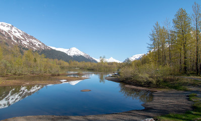 Reflections in Moose Flats Wetland and Portage Creek in Turnagain Arm near Anchorage Alaska United States