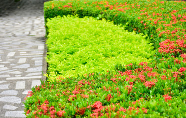 Diamond ring Gold designed for working age, has a luxurious charm.	