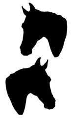 Vector illustration of a horse, vector isolated monochrome image, black silhouette two head of horses on a white background
