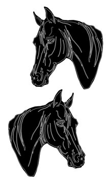 illustration of a horse, isolated monochrome image, black silhouette two head of horses on a white background