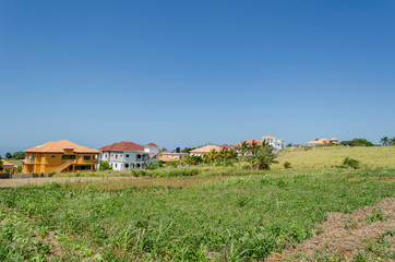 Landscape Below Blue Sky