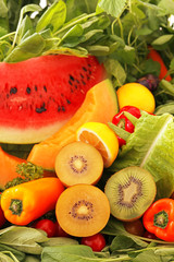 新鮮な野菜と果物