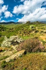 Fototapeta na wymiar A stunning mountain view. Springtime landscape with meadow, mountains and sky. Zanzegur Mountains near Meghri village. Armenia