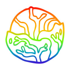 rainbow gradient line drawing cartoon cabbage