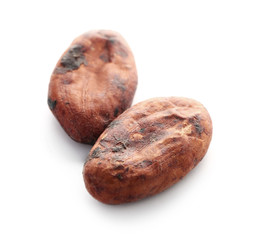 Cocoa beans on white background