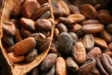 Pod with cocoa beans, closeup