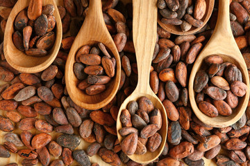 Spoons with cocoa beans on table