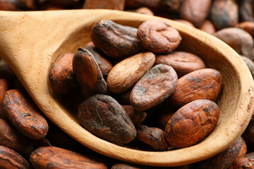 Spoon with cocoa beans, closeup