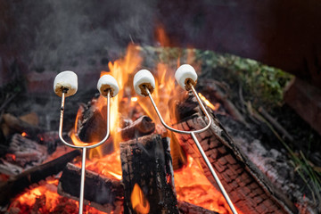 roasting marshmallows on an campfire 