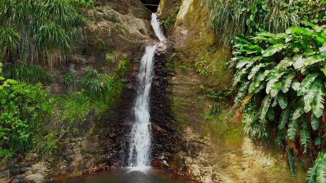 A drone ascending showing an epic waterfall from the pool at the bottom to the source at the top on the Caribbean island of Grenada