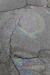 Obraz premium Spilled Oil Spreading on a Road
