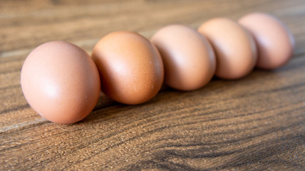Egg on wooden background