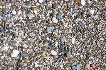Multi-colored large sea pebbles of various shapes on the sandy shore of the Mediterranean sea for background