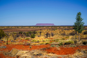 View of Mount Conner in the distance