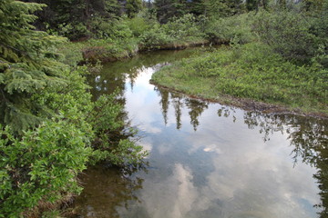 Start Of The Bow River, Banff National Park, Alberta