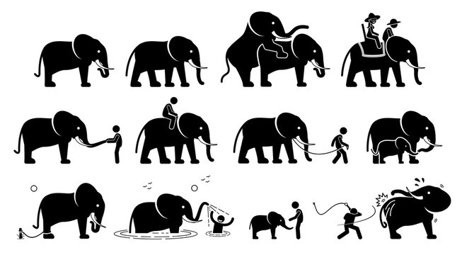 Human and elephant pictograms icons. Illustrations depict relationship, interactions, and activities between people and elephant.