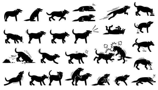 Dog actions, reactions, postures, and body languages. Illustrations depict dog standing, walking, running, jumping, eating, barking, and digging hole. It also depict dog sniffing and mating.