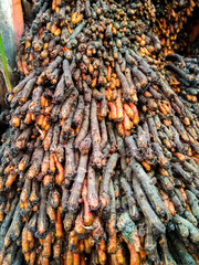 Many roots