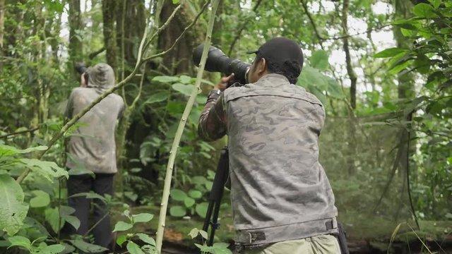 Photographers silently capturing wildlife animals in tropical forest.