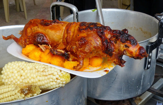 Traditional food of Latin America and Ecuador - cuy (guinea pig). Guinea pigs cooked on grill and served with cooked potatoes and cob of corn at the open market. 