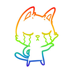 rainbow gradient line drawing crying cartoon cat