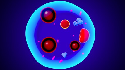 3d rendered illustration of some isolated fat cells