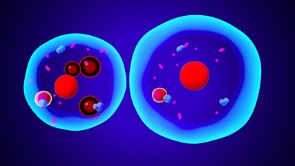 3d rendered illustration of some isolated fat cells