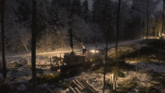 3993_Logs_being_carried_out_from_the_truck_in_the_forest.mov
