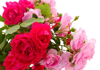 Bouquet of red and pink roses.
