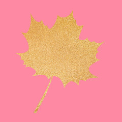 golden autumn leaves silhouette in the white background