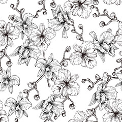 Orchid pattern in black and white