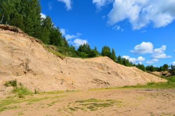 trees in the mountains and swallows ' nests in the rock
